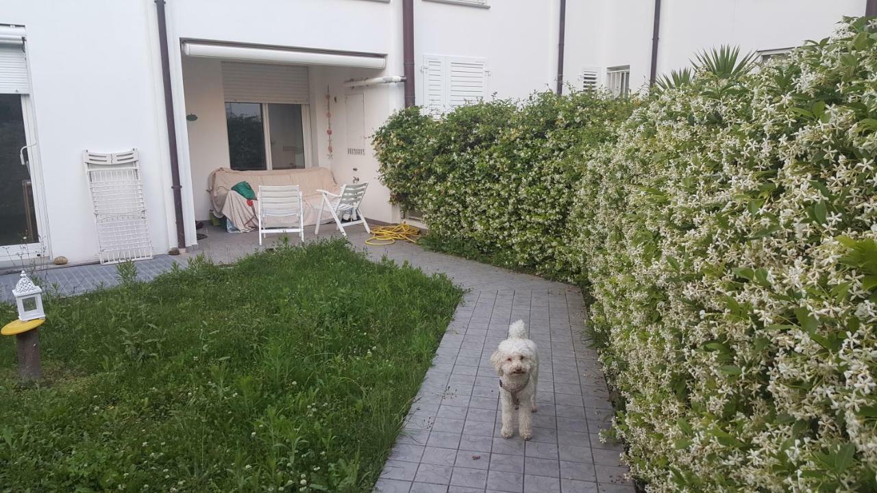 Condominio Vite Misano Adriatico Kültér fotó
